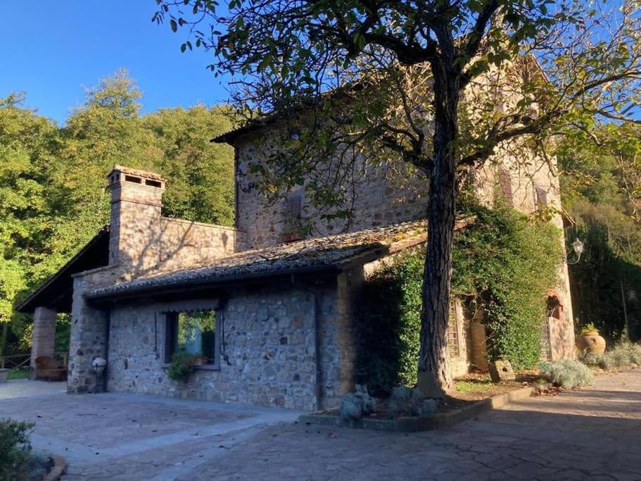 La Torre - Tuscia-Con Piscina - Viterbo-Bagnoregio Villa Celleno Exterior photo