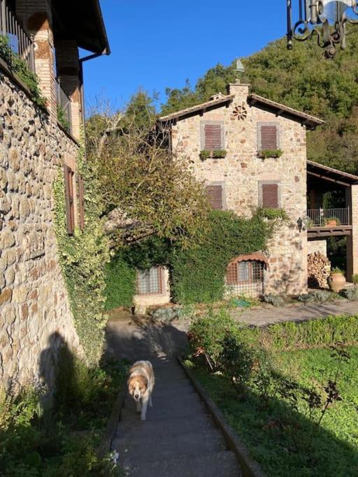 La Torre - Tuscia-Con Piscina - Viterbo-Bagnoregio Villa Celleno Exterior photo