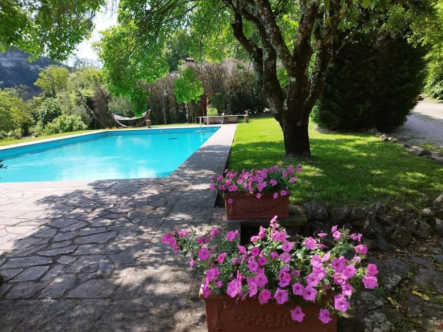 La Torre - Tuscia-Con Piscina - Viterbo-Bagnoregio Villa Celleno Exterior photo